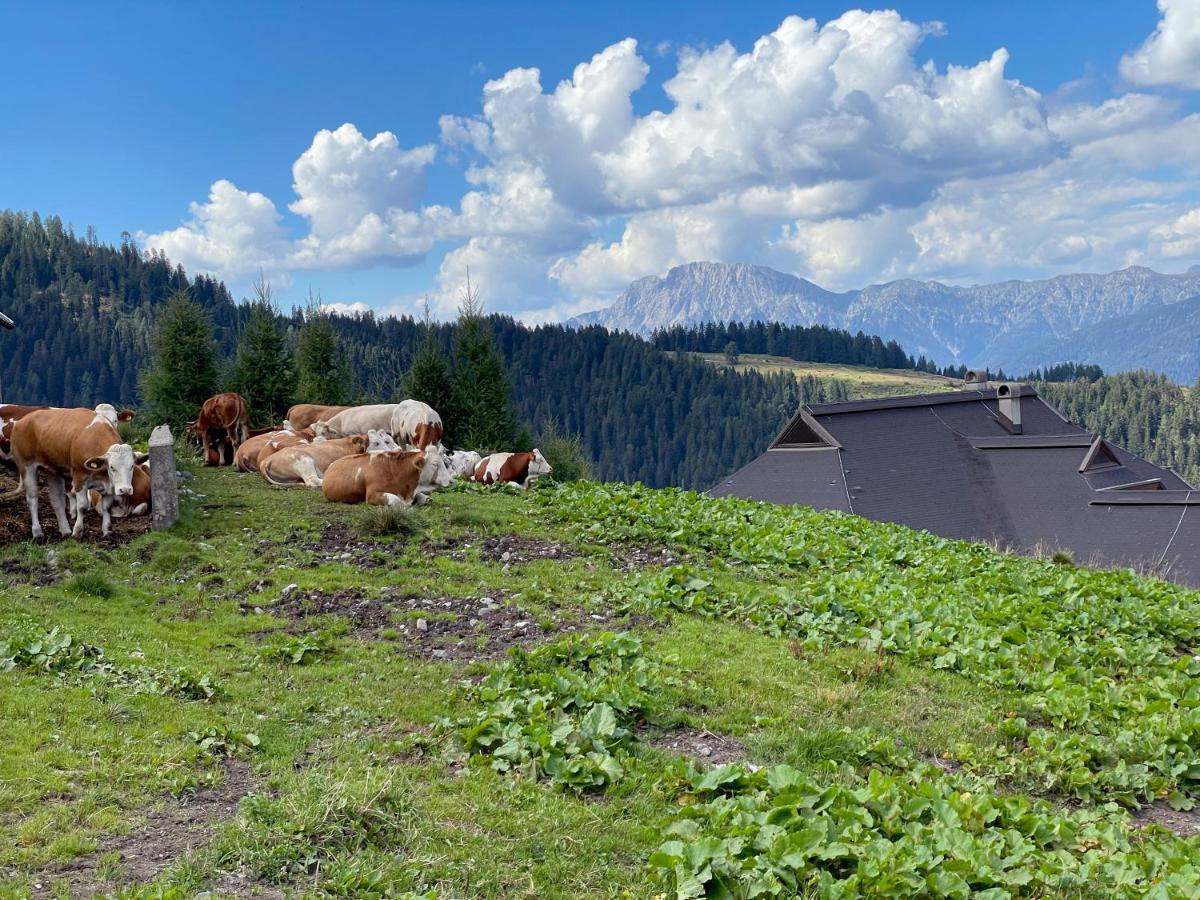 The Mountain Home Hermagor-Pressegger See Exterior foto